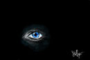eye