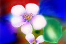 spring-time
