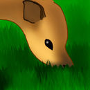 fawn fawn