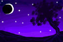night