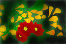 spring-time
