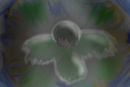 angel1