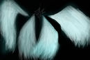 wings-test wings-test