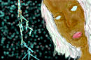 storm-xmen
