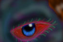 eye