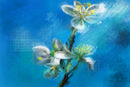 blossom-texture blossom-texture