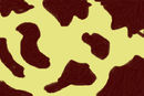 giraffe-print