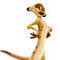 timon by fabrizio1989