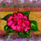 pink-flower by pamelaschanck
