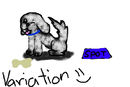 variation-of-puppy