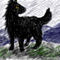 kuro-ookami-black-wolf by NekoUchiha