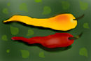 haut-n-spicy