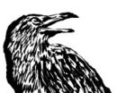 raven