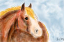 horse-face