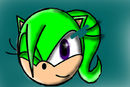 slate-the-hedgehog-new