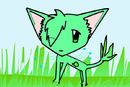 cleanig-pets