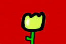pretty-flower