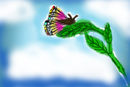 butterfly