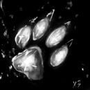 paw