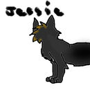 jessie-cat
