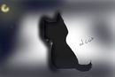 behind-cat