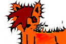 firebolt-the-nitro-cat