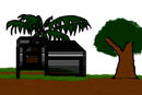 kampung