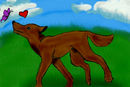 playful-wolf